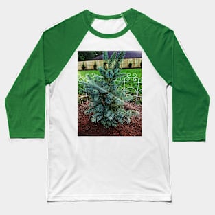 Little Blue Pine Baseball T-Shirt